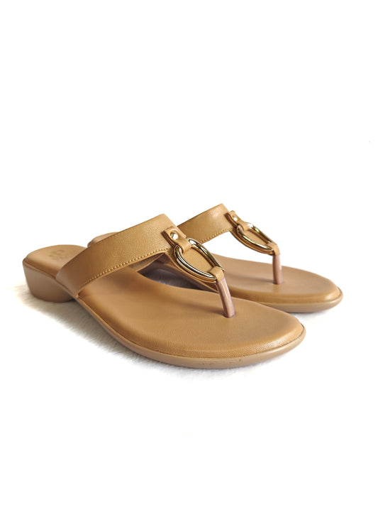PAGE Elan Loop Slides Chickoo (1379-7).